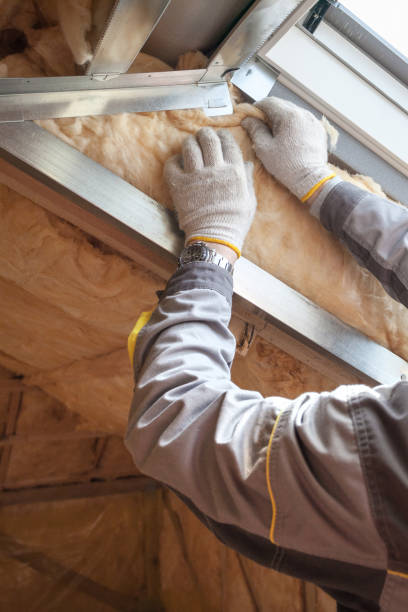 Best Residential Insulation in Bloomville, OH
