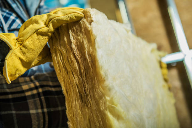Best DIY Insulation Kits and Guidance in Bloomville, OH