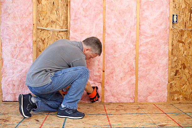 Best Insulation Maintenance and Repair in Bloomville, OH