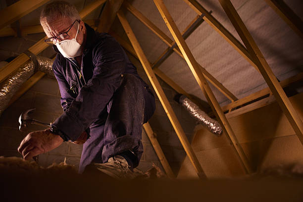 Best Geographic-Specific Insulation Services in Bloomville, OH