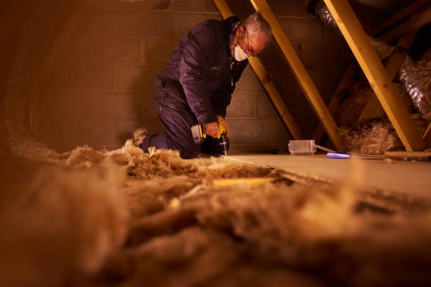 Best Insulation Maintenance and Repair in Bloomville, OH